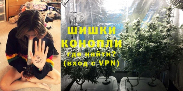 винт Майский