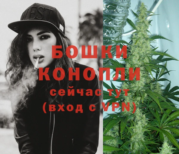 винт Майский