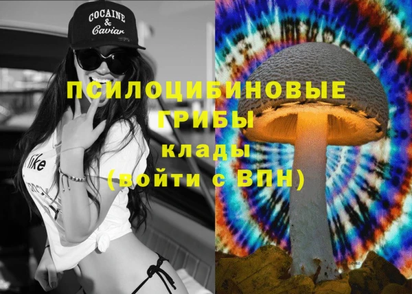 винт Майский