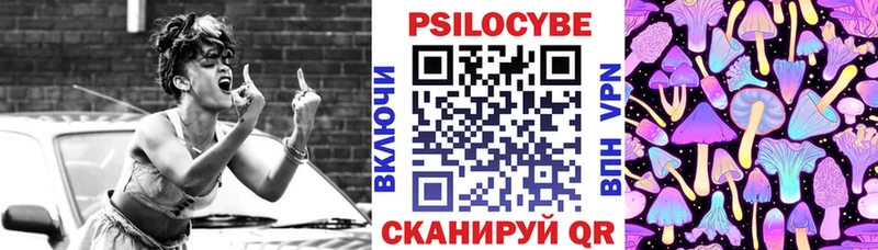 Псилоцибиновые грибы Psilocybe  Купить закладки  Болохово 